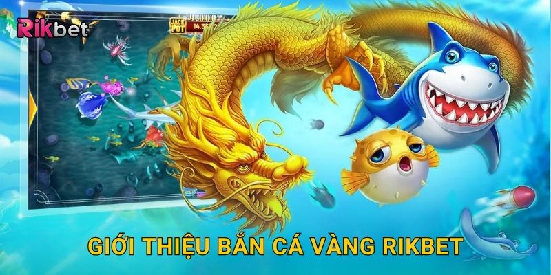Bắn Cá Vàng – Săn cá đổi thưởng cực kỳ hấp dẫn tại Rikbet 2 Giới thiệu Bắn Cá Vàng Rikbet