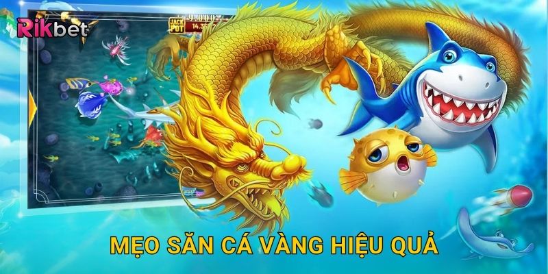 Bắn Cá Vàng – Săn cá đổi thưởng cực kỳ hấp dẫn tại Rikbet 3 Mẹo săn cá vàng hiệu quả