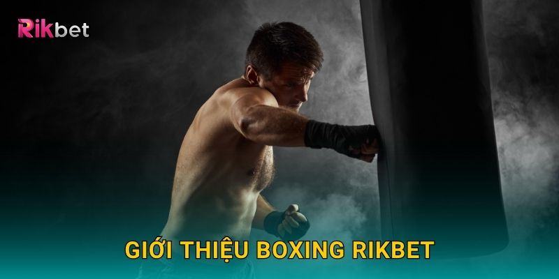 Giới thiệu Boxing Rikbet