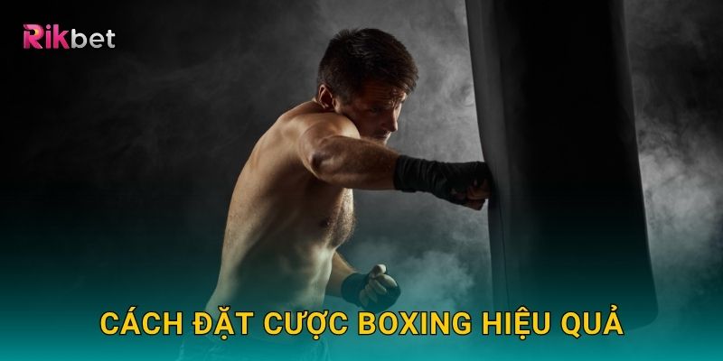 Cách đặt cược Boxing hiệu quả