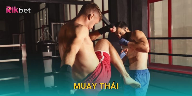 Muay Thái – Võ thuật truyền thống và kèo hấp dẫn tại Rikbet