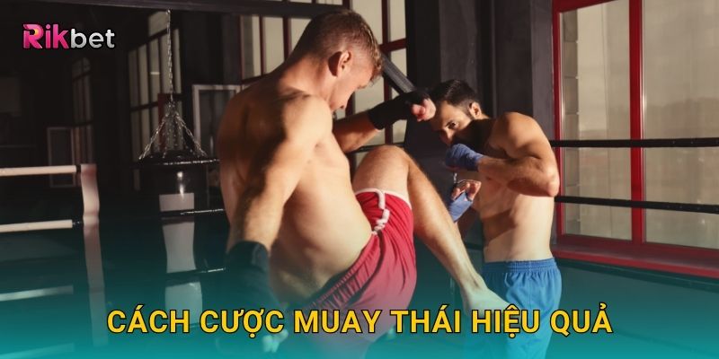 Cách cược Muay Thái hiệu quả