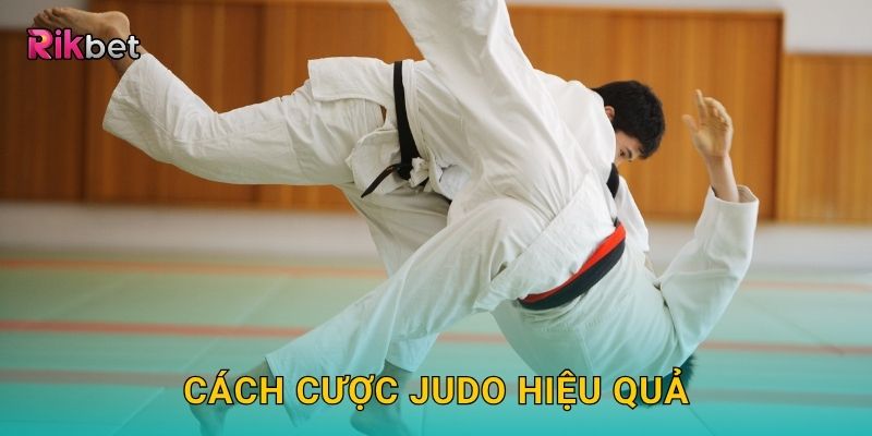 Cách cược Judo hiệu quả