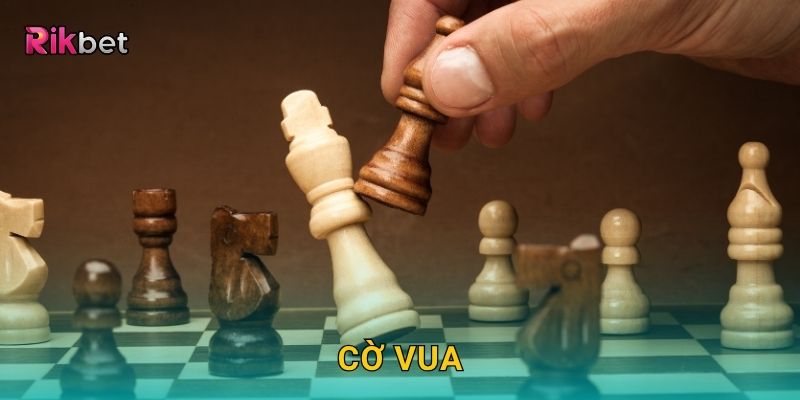 Cờ Vua – Trận đấu trí tuệ và dự đoán đỉnh cao tại Rikbet