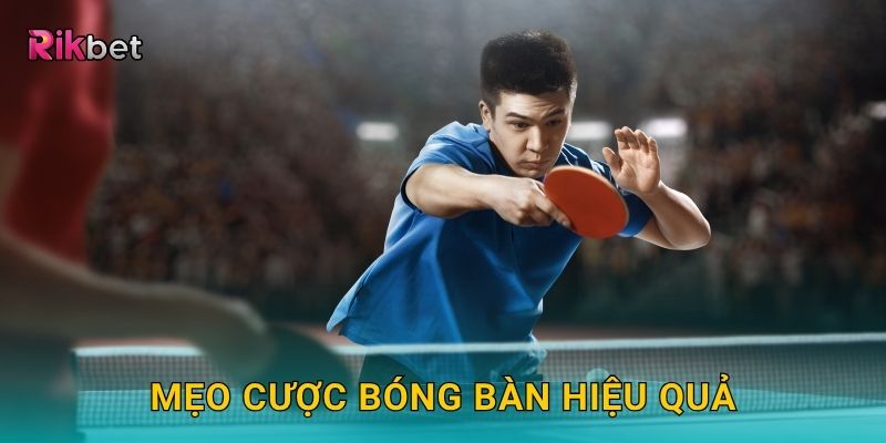 Mẹo cược Bóng Bàn hiệu quả