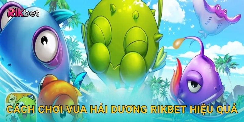 Cách chơi Vua Hải Dương Rikbet hiệu quả