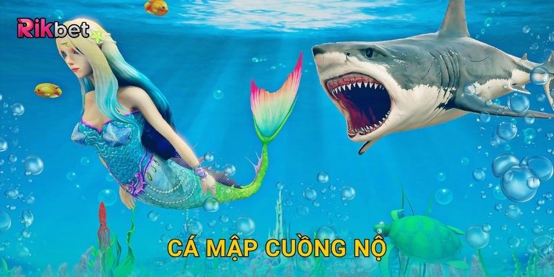 Cá Mập Cuồng Nộ – Thử thách tốc độ và phản xạ siêu đỉnh tại Rikbet
