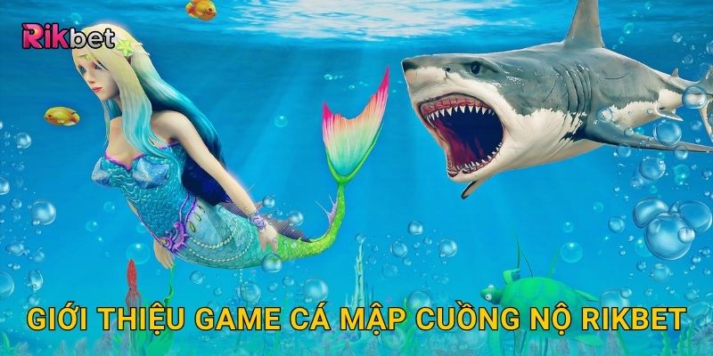 Giới thiệu game Cá Mập Cuồng Nộ Rikbet