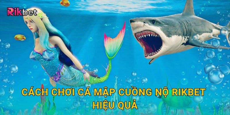 Cách chơi Cá Mập Cuồng Nộ Rikbet hiệu quả